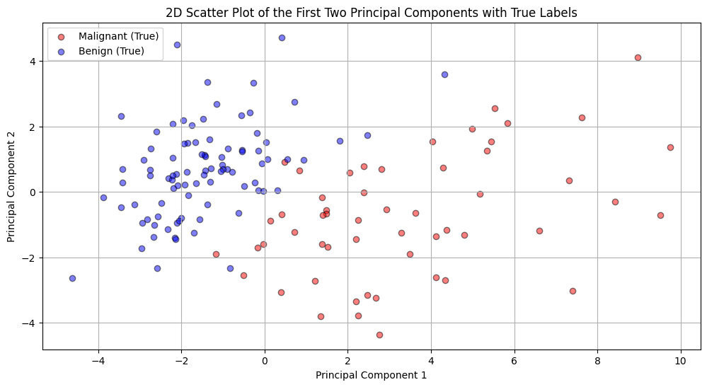 Figure 3 (2D Scatter Plot of the first two Principal Components with True Labels)